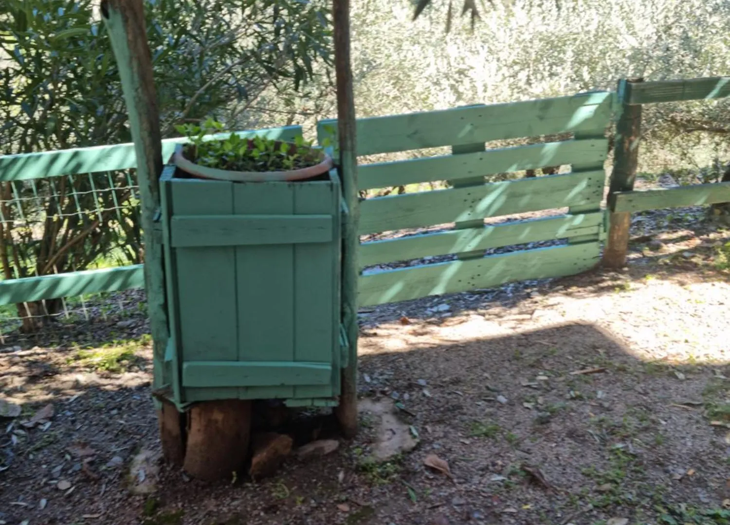 Casa Ticci Apartment Seulo Italy